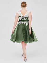 Col d'Illusion Organza avec Dentelle Ivoire Appliquée Olive Verte Grande Taille