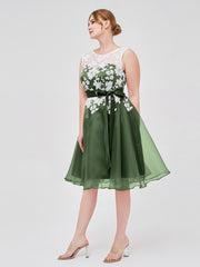 Col d'Illusion Organza avec Dentelle Ivoire Appliquée Olive Verte Grande Taille