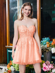 Corail