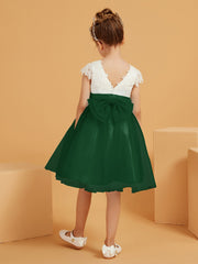 Vert Foncé