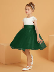 Vert Foncé