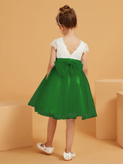 Vert