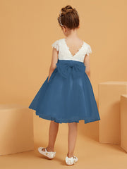 Bleu de Schiste