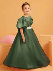 Olive Verte