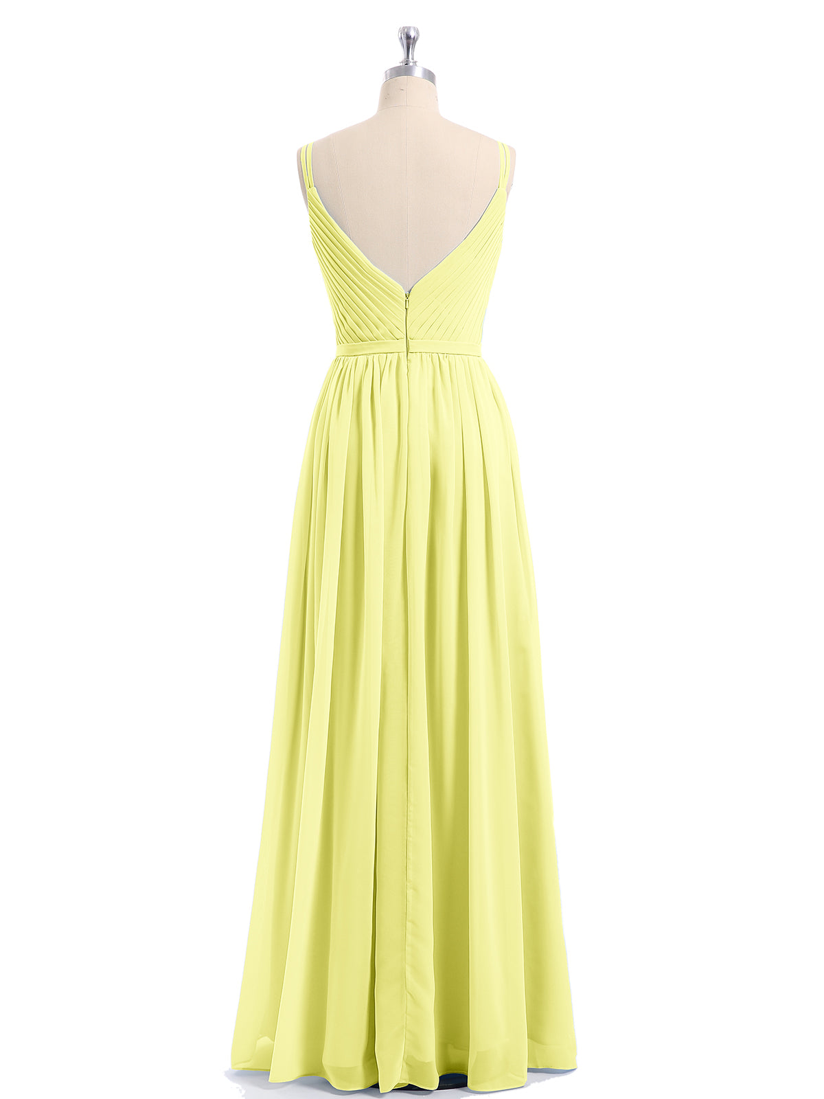 Daffodil