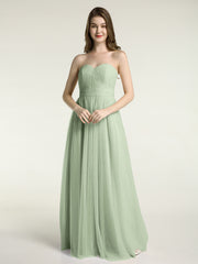 Sauge Poudrée